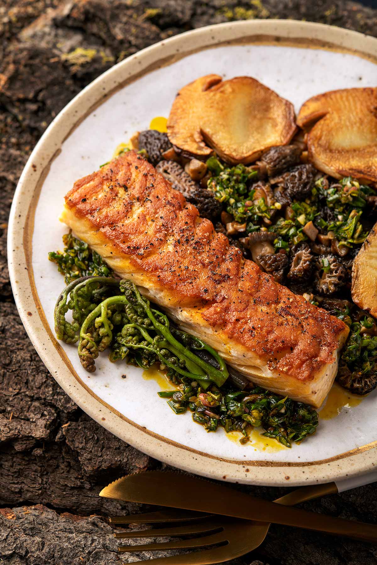 Lake trout, mushrooms and spätzle on a plate. 