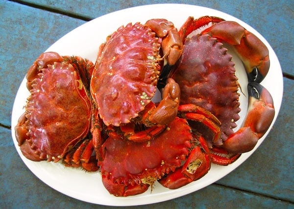A plate of cooked crabs