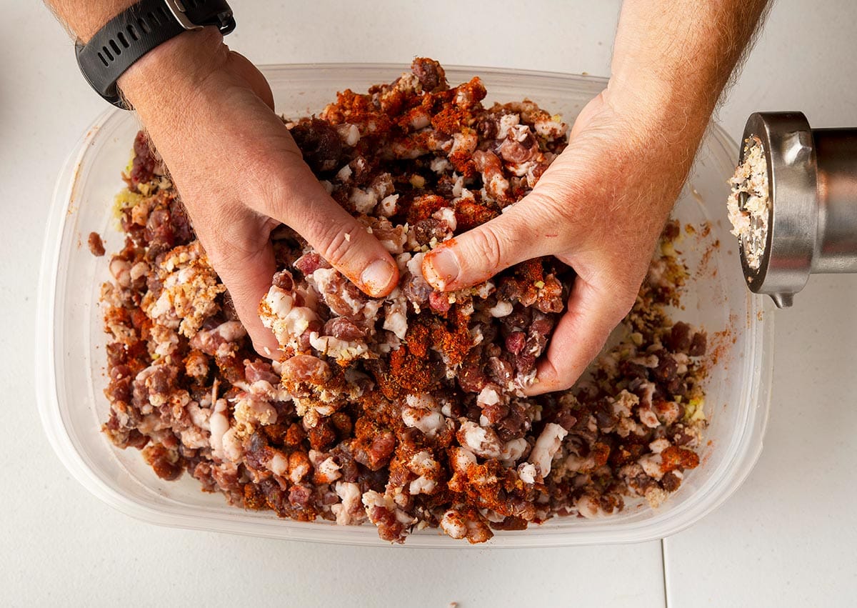 Mixing spices into coarsely ground sausage in a plastic tub. 