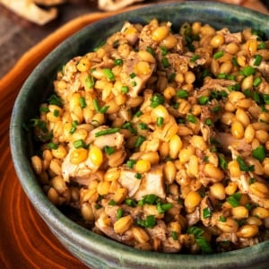 Close up of a bowl of barley risotto.