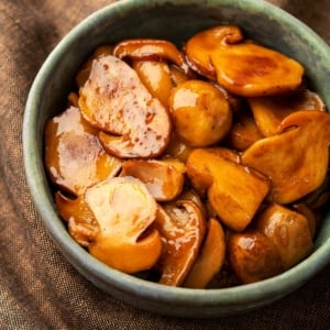 A bowl full of teriyaki mushrooms, made with porcini.