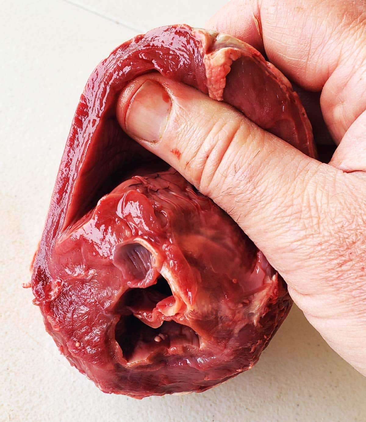 Opening the chambers of a deer heart to prepare it for cooking. 