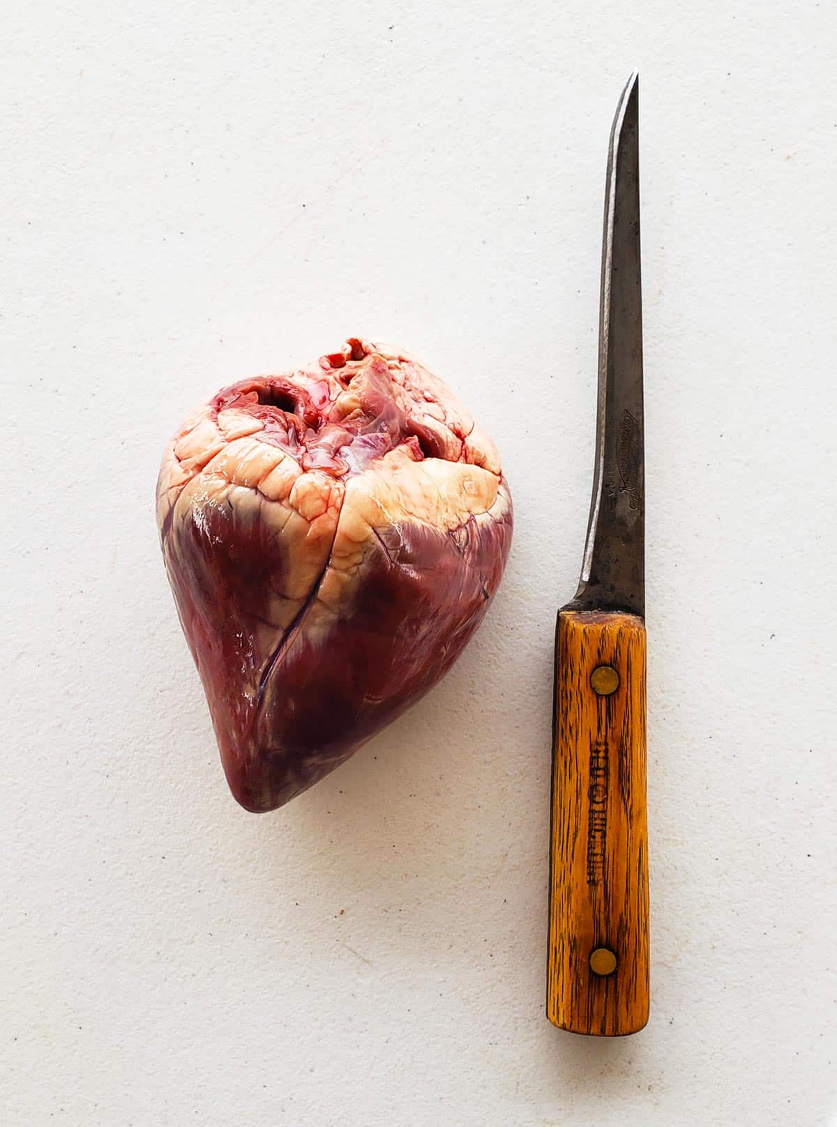 Getting ready to prepare deer heart with a sharp boning knife. 