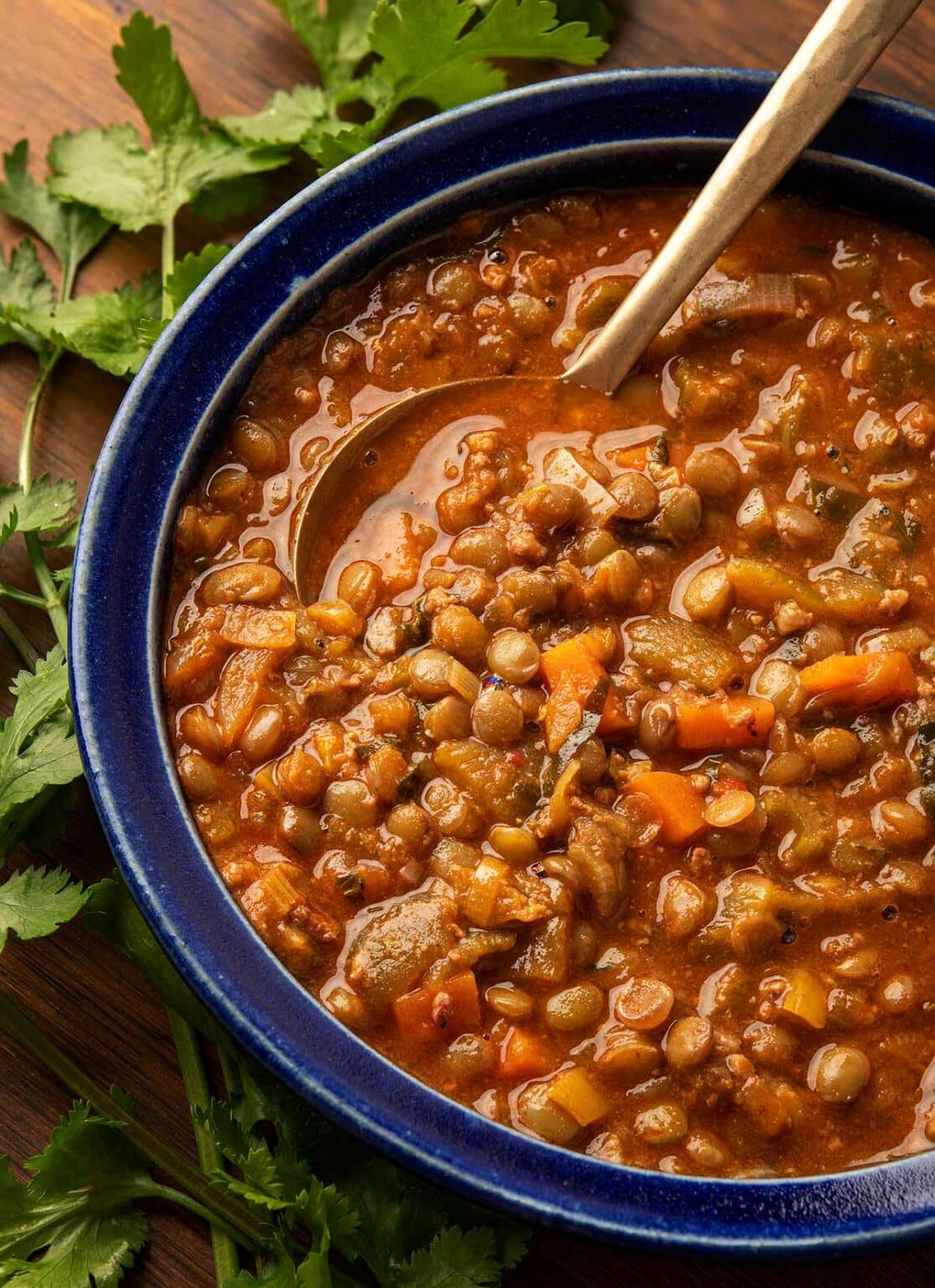 Mexican Lentil Soup Recipe - Sopa de Lentejas | Hank Shaw