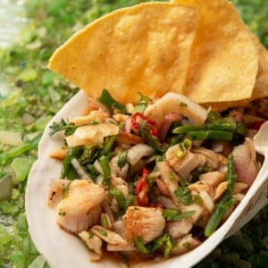 Close up of clam ceviche served in the shell with tortilla chips.