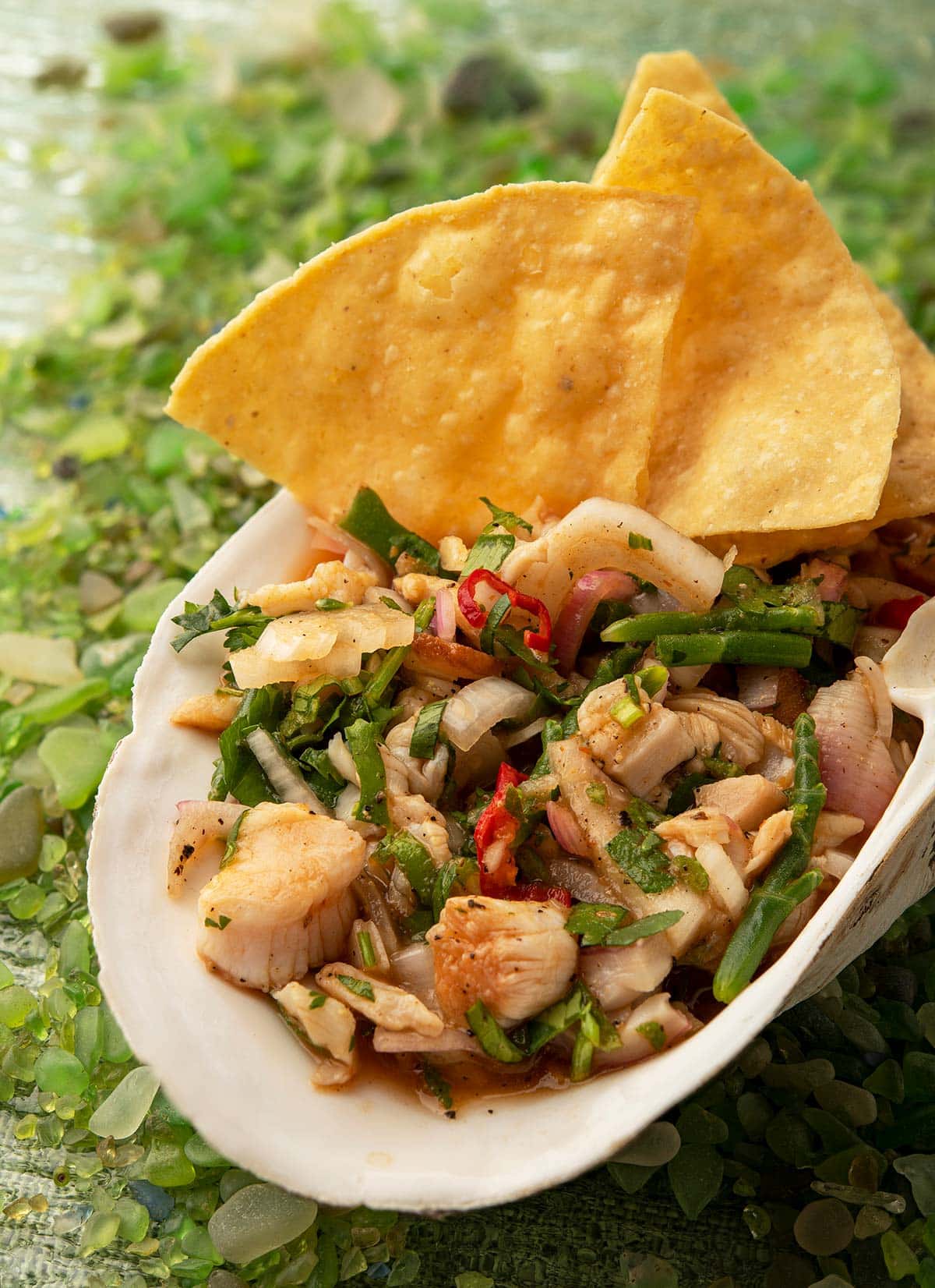 Close up of clam ceviche served in the shell with tortilla chips. 
