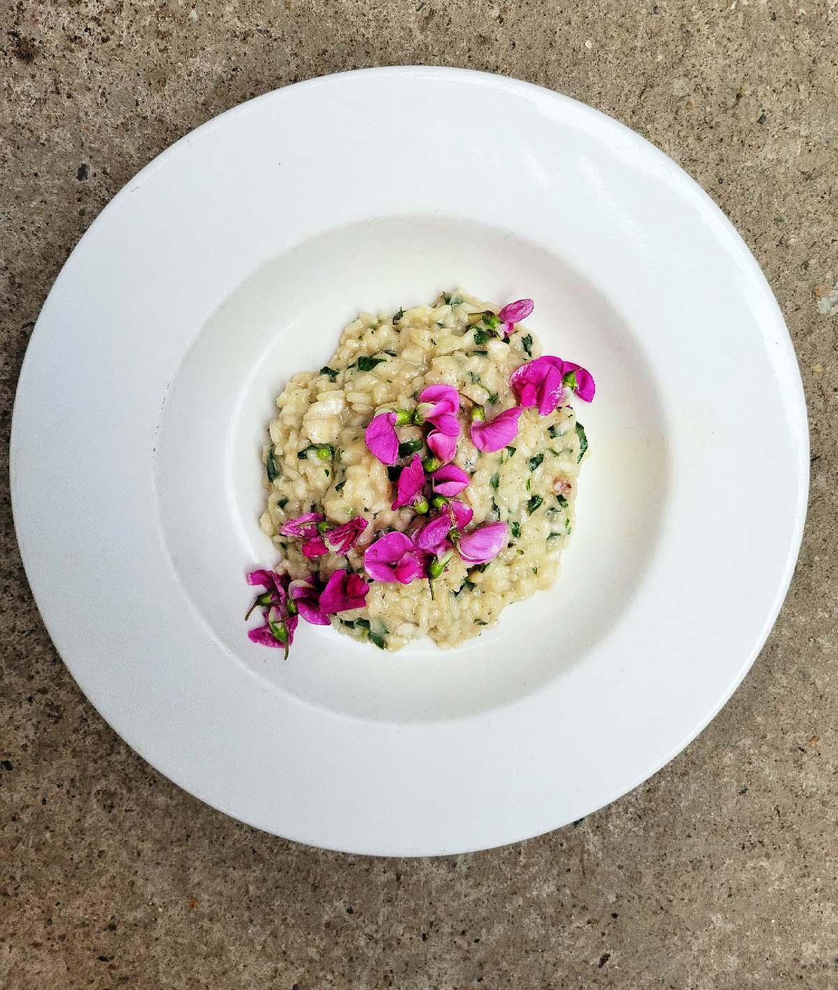 A bowl of burbot risotto with lambsquarters and wild plea flowers. 