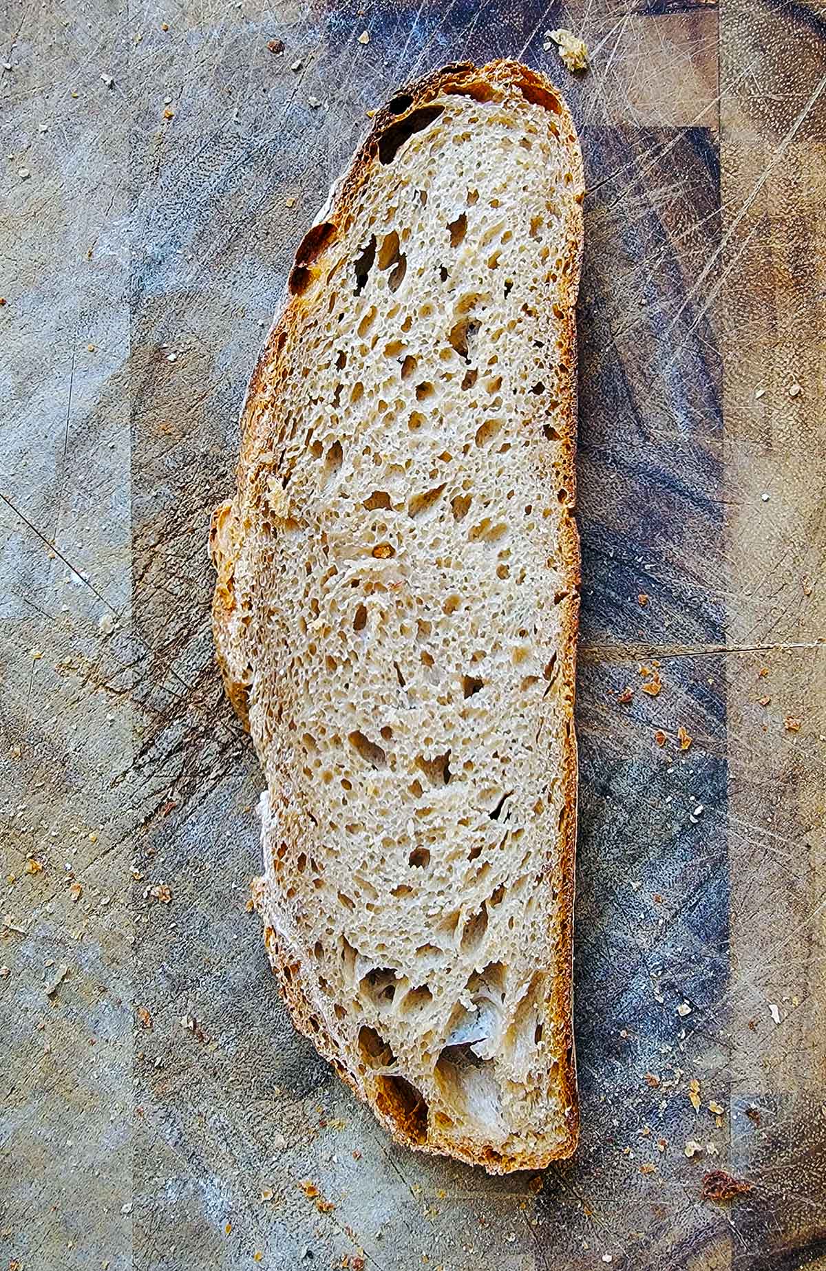 A slice of the light rye bread, showing the crumb. 