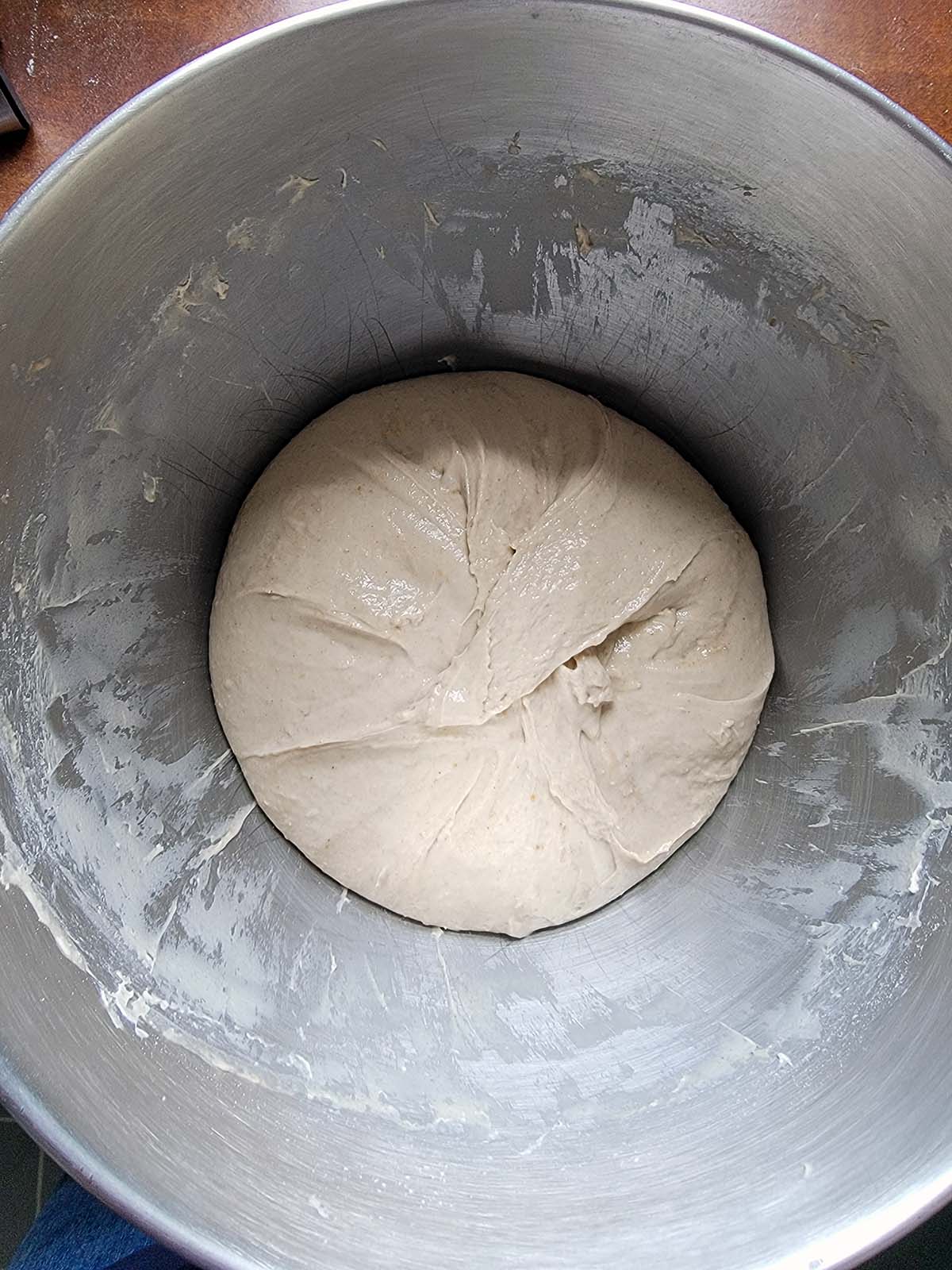 Rye dough after mixing, before it ferments. 