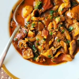 Close up view of a bowl of mushroom stew.